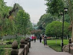-桂湖森林公园
