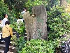 -十八棵（老龙井）御茶园(老龙井店)