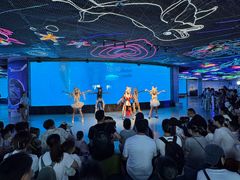 -海合安成都极地海洋公园