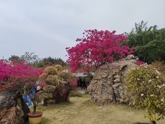 -盈香心动乐园