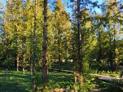 -国家植物园南园