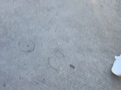 -北岐滩涂