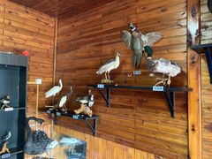 -南京金牛湖风景区