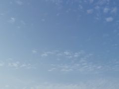 -食膳公园包子铺(烈士公园店)