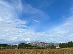 -西海岸生态观光园