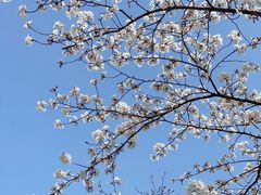 -永乐路-路侧停车场