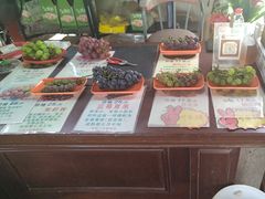 -马陆小张葡萄园农家乐