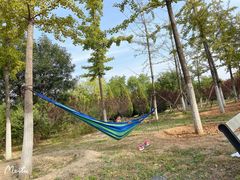 -永定河休闲森林公园