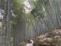 -黄山翡翠谷景区