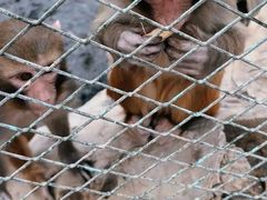 -水上乐园·欢乐世界