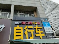 -道路口单车爱瓦士dahon大行