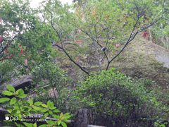 景点-綦江古剑山