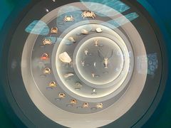 -中国湿地博物馆