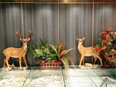 -韩风源烧烤涮自助餐厅(禹州新一峰店)