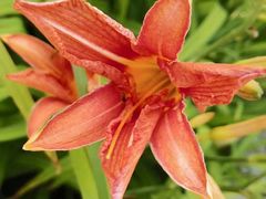 -天津东丽湖风景区