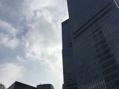 -上海柏悦酒店