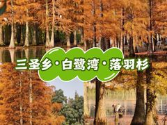 -白鹭湾湿地公园