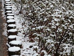 -天姥山景区