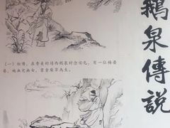 -靖西鹅泉风景区