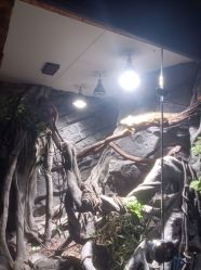 -Zoolung Zoolung动物主题公园(海信广场店)