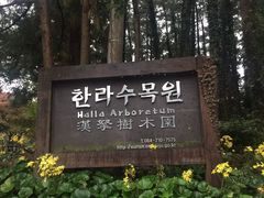 -汉拿树木园