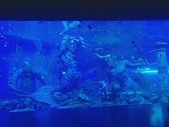 -哈尔滨波塞冬海底世界