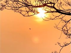 -盘龙城国家考古遗址公园