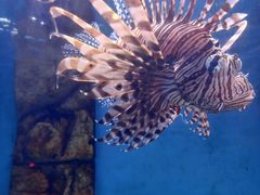 -常州海昌海洋探索馆