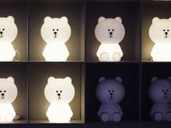 -line friends(明洞旗舰店)