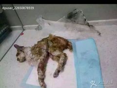 android_upload_pic-盛京一禾