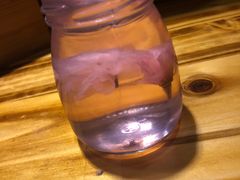 樱花果冻-老龙亭拉面店