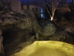 -和园景逸大酒店朗月汤泉