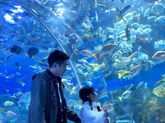 -顺德南宏海立方海洋公园