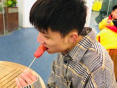-世界之窗阿尔卑斯冰雪世界