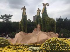 -五通灯塔公园