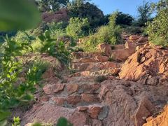 -红山国家森林公园