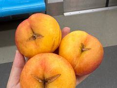 -禾斗海鲜自助(市南银座店)