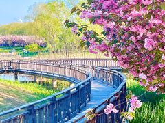 -羊亭河湿地公园