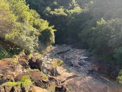 -广州白江湖森林公园