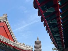 -西海子公园