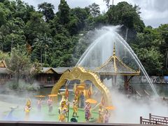 -西双版纳原始森林公园