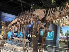 -国家自然博物馆