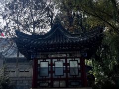 -文瀛公园