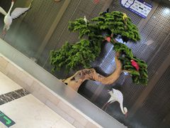 -红菜坊·烤鸭·川鲁宴(石园店)
