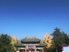 -晋祠公园