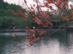 -绍兴东湖风景区