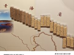 -中国农业博物馆