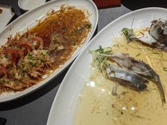 -京悦荟·京沪融合菜(漕河泾印象城店)