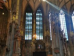 -斯蒂芬主教座堂(Stephansdom)
