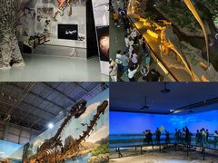 -西峡恐龙遗迹园